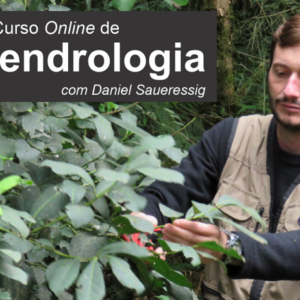 Curso 'pnline' de Dendrologia