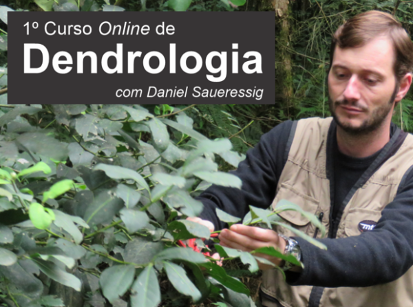 Curso 'pnline' de Dendrologia