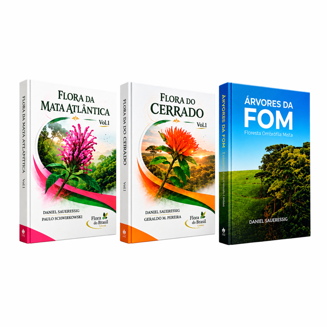 3 Guias Rregionais