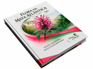 Flora da Mata Atlântica Vol.1