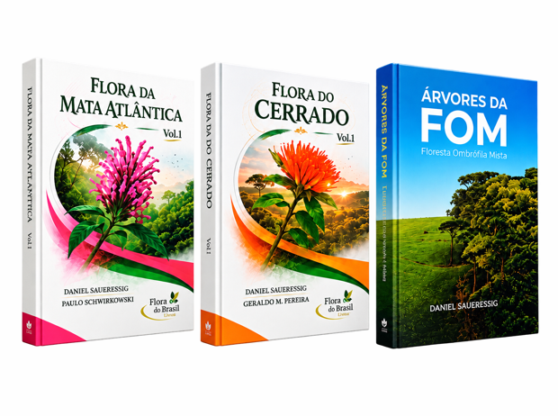 3 Guias Regionais